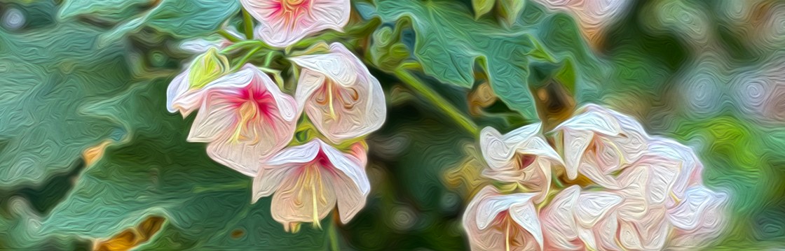 Fullerton Arboretum in Fall