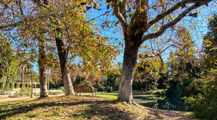 Lake View Fullerton Arboretum