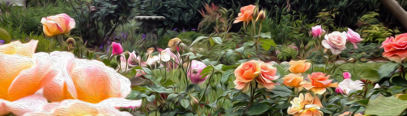 Jackie's Bower Latest Posts by Jackie