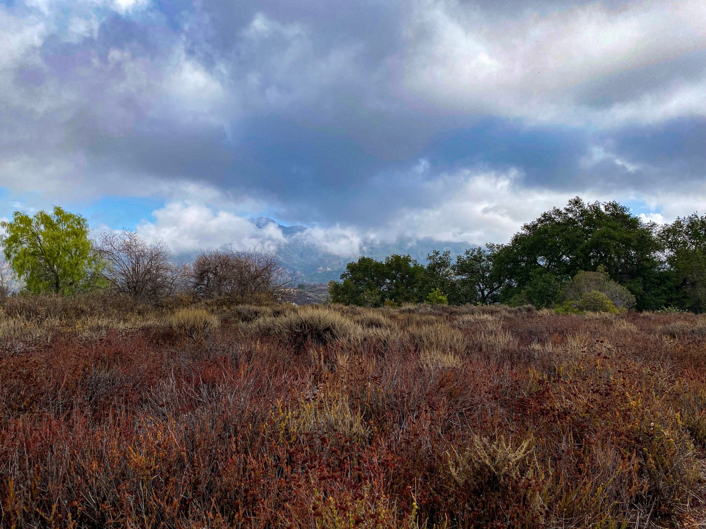 Autumn in Arroyo Trabuco and Trabuco Trail