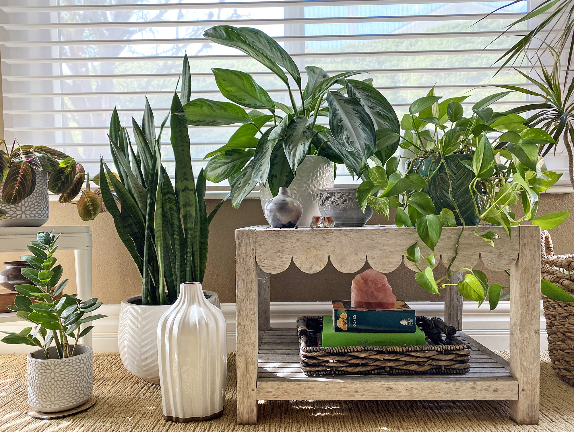 House Plants by Lit Window Decorate with Plants